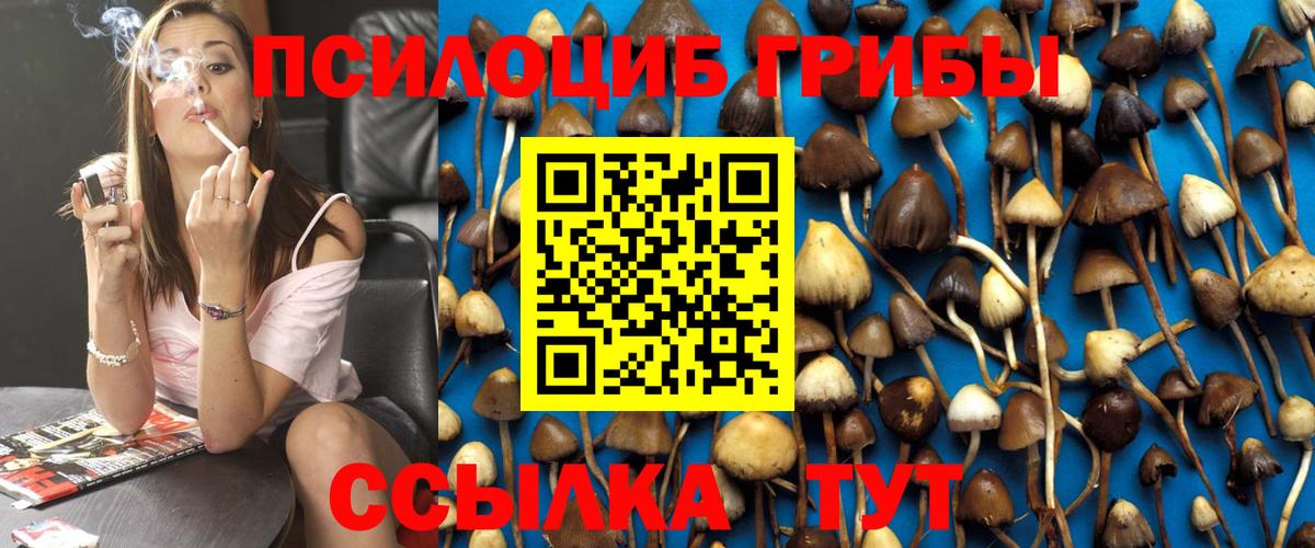 Псилоцибиновые грибы ЛСД Сургут