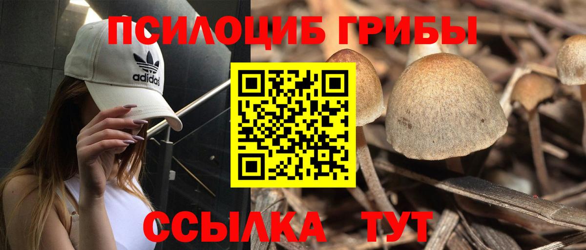 Сургут  Псилоцибиновые грибы Psilocybine cubensis  Вход с VPN 